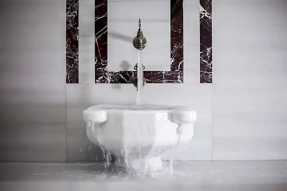 Valide Sultan - Nakşidil Sultan